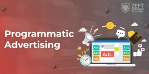 Programmatic Advertising: An Application of Digital Marketing
